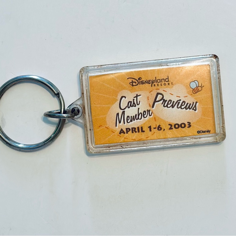 Disneyland 2003 Cast Member Preview Adventures of Winnie the Pooh Keychain - Picture 2 of 6